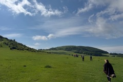 IMG_4881