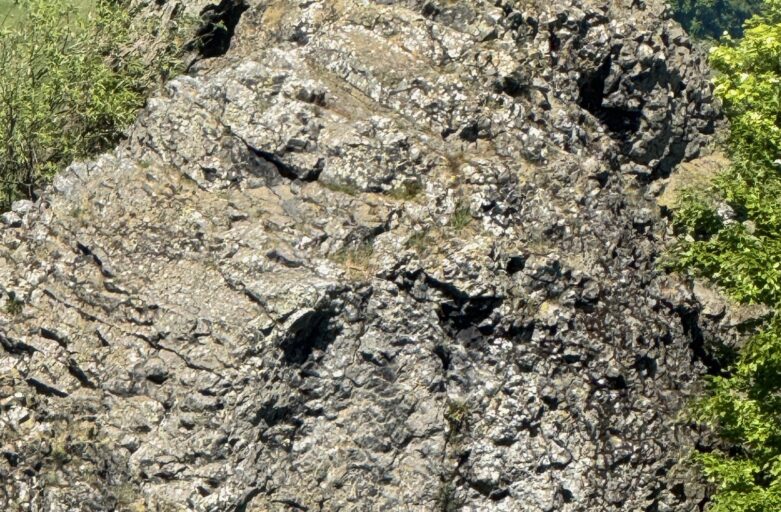 Lichtnetz-Treffen in Zierenberg 2026