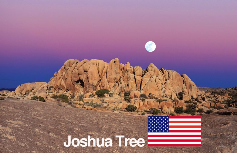Joshua Tree -2018 – CA