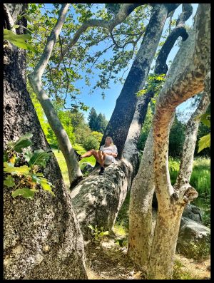 Southern California, Laguna Woods, CA