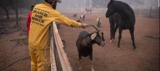 2018-November-21th Hands that Work are Holier than Lips that Pray