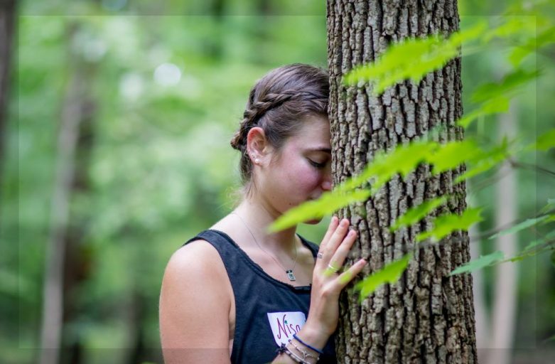 Een relatie opbouwen met de bomen